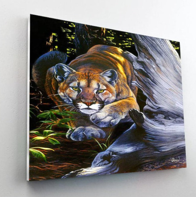 Paint By Number Diy Painting Kit The Hunter