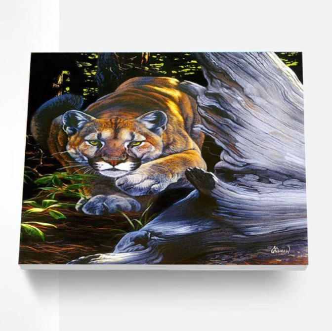 Paint By Number Diy Painting Kit The Hunter