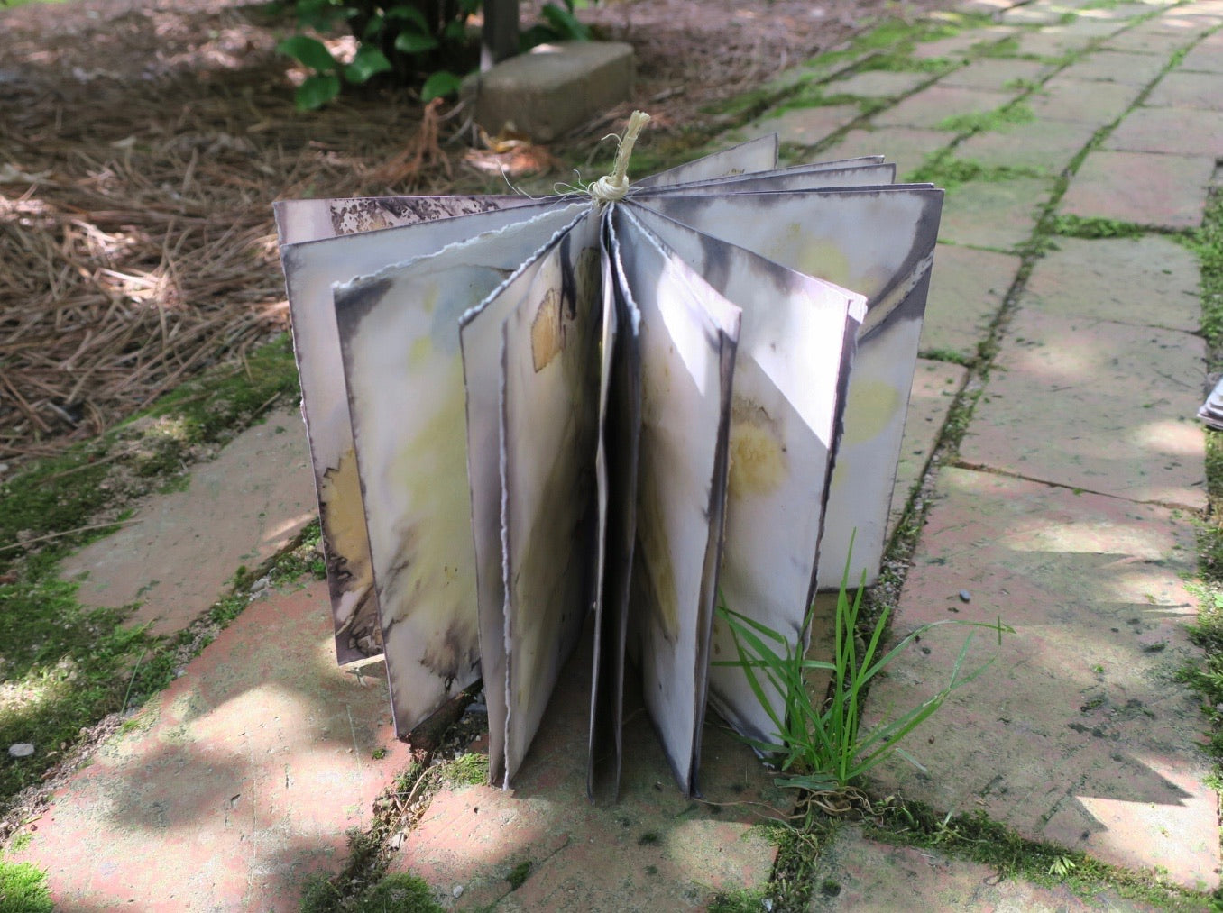 SMALL JOURNAL