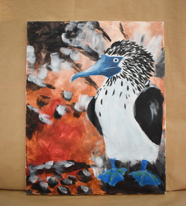 #41 Blue Footed Booby Painted Canvas