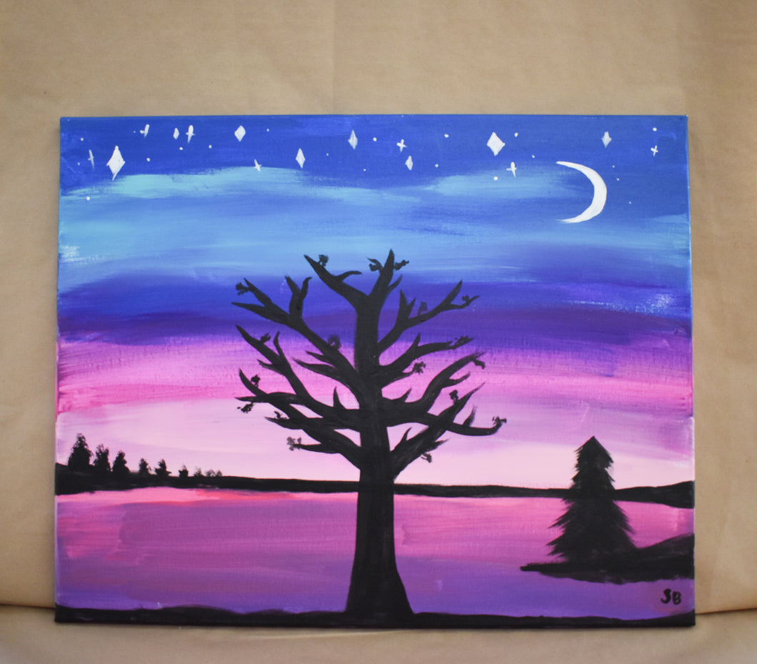 #44 Winter Night Painted Canvas